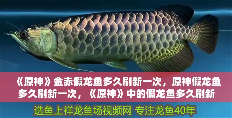 《原神》金赤假龍魚多久刷新一次，原神假龍魚多久刷新一次，《原神》中的假龍魚多久刷新一次？