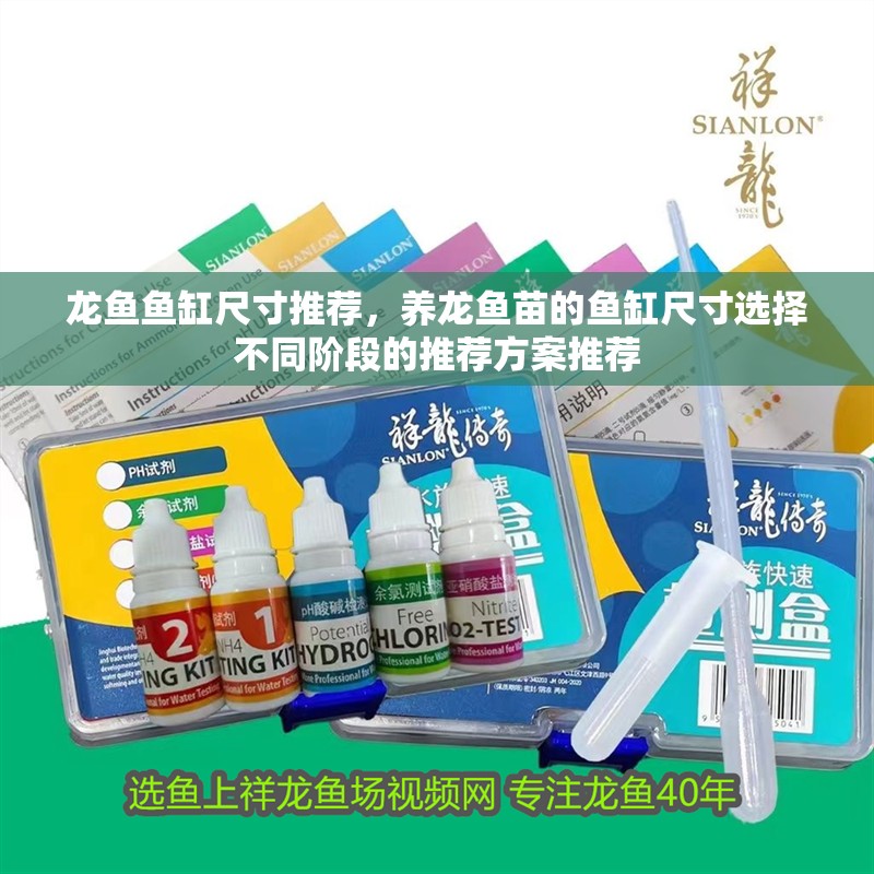 龍魚魚缸尺寸推薦，養(yǎng)龍魚苗的魚缸尺寸選擇不同階段的推薦方案推薦