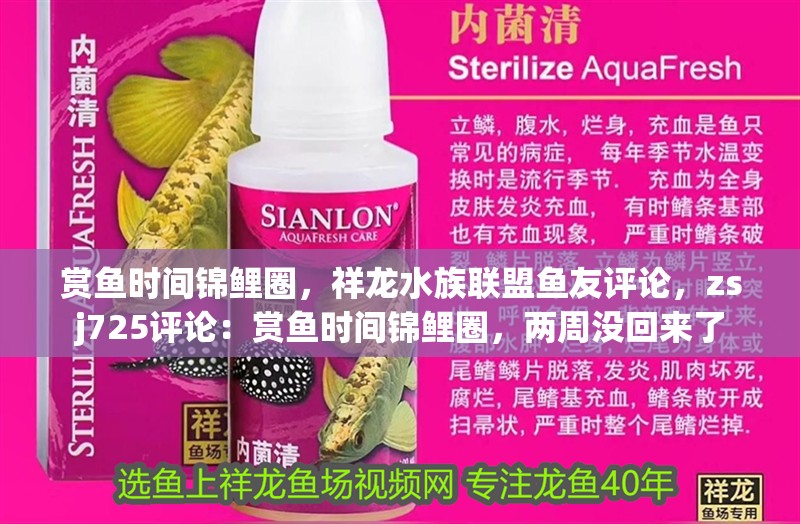 賞魚時間錦鯉圈，祥龍水族聯(lián)盟魚友評論，zsj725評論：賞魚時間錦鯉圈，兩周沒回來了