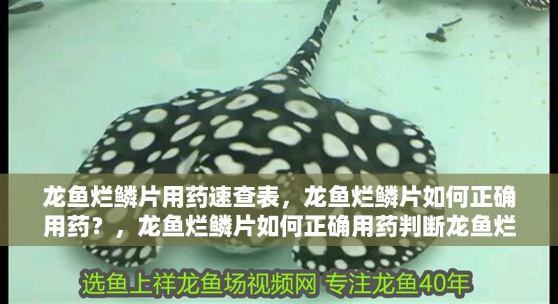 龍魚爛鱗片用藥速查表，龍魚爛鱗片如何正確用藥？，龍魚爛鱗片如何正確用藥判斷龍魚爛鱗片的原因和注意事項