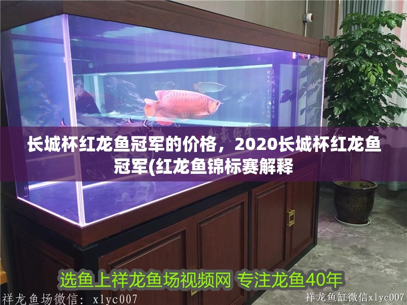 長(zhǎng)城杯紅龍魚冠軍的價(jià)格，2020長(zhǎng)城杯紅龍魚冠軍(紅龍魚錦標(biāo)賽解釋