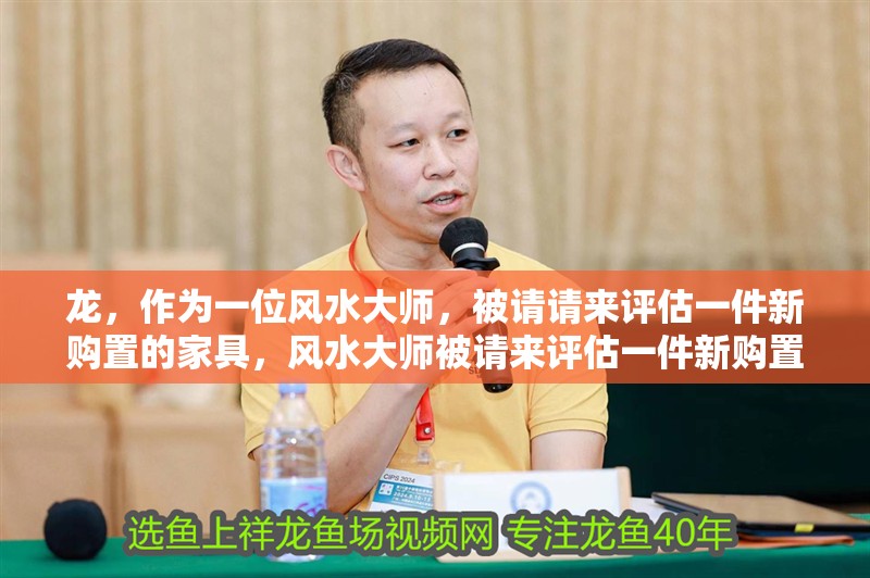 龍，作為一位風水大師，被請請來評估一件新購置的家具，風水大師被請來評估一件新購置的家具，她提醒小紅龍注意擺放位置