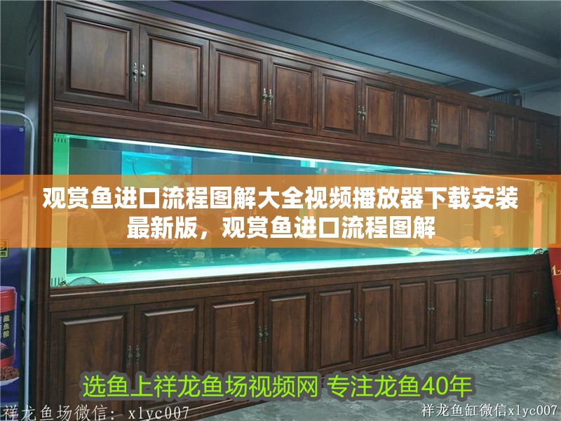 觀賞魚進口流程圖解大全視頻播放器下載安裝最新版，觀賞魚進口流程圖解