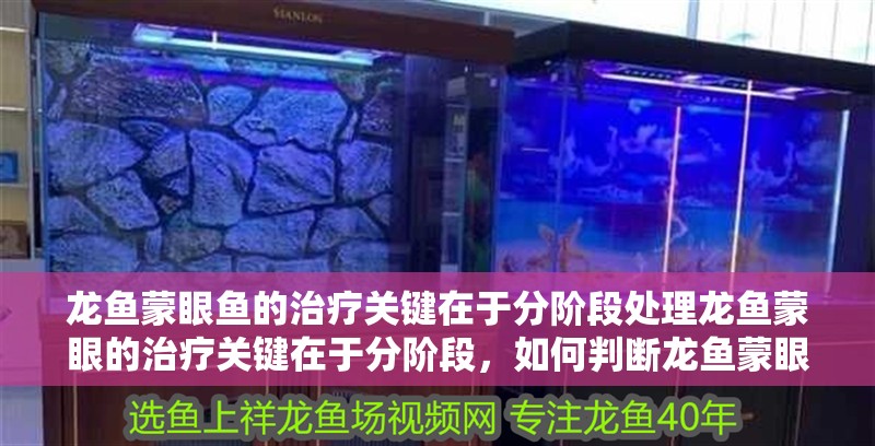 龍魚蒙眼魚的治療關(guān)鍵在于分階段處理龍魚蒙眼的治療關(guān)鍵在于分階段，如何判斷龍魚蒙眼是否嚴重