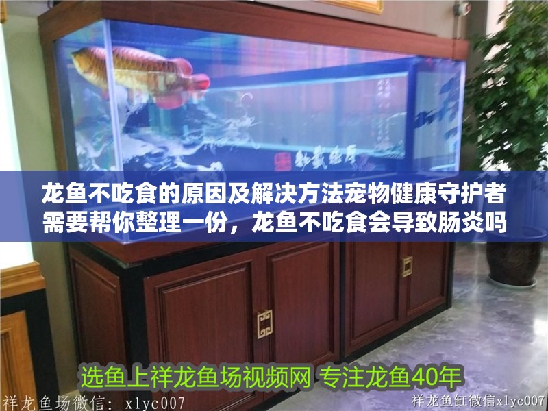 龍魚不吃食的原因及解決方法寵物健康守護者需要幫你整理一份，龍魚不吃食會導致腸炎嗎