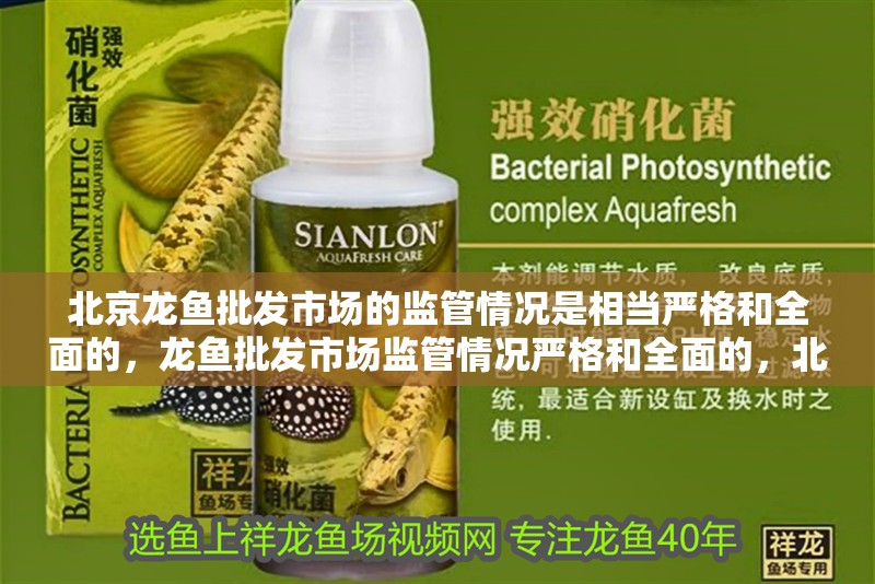 北京龍魚批發市場的監管情況是相當嚴格和全面的，龍魚批發市場監管情況嚴格和全面的，北京龍魚批發市場的價格波動大嗎？