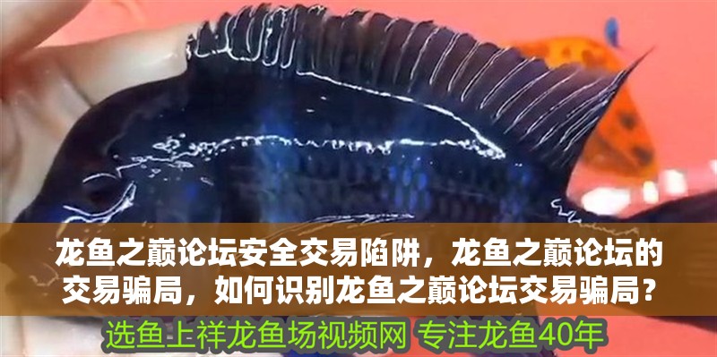 龍魚之巔論壇安全交易陷阱，龍魚之巔論壇的交易騙局，如何識別龍魚之巔論壇交易騙局？