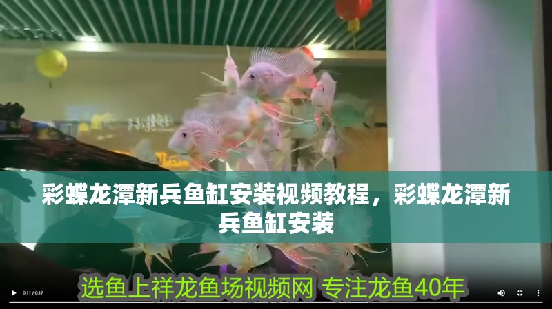 彩蝶龍潭新兵魚缸安裝視頻教程，彩蝶龍潭新兵魚缸安裝