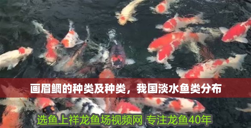 畫眉鯛的種類及種類，我國(guó)淡水魚類分布 畫眉鯛的種類及種類，我國(guó)淡水魚類分布 觀賞魚百科 第2張