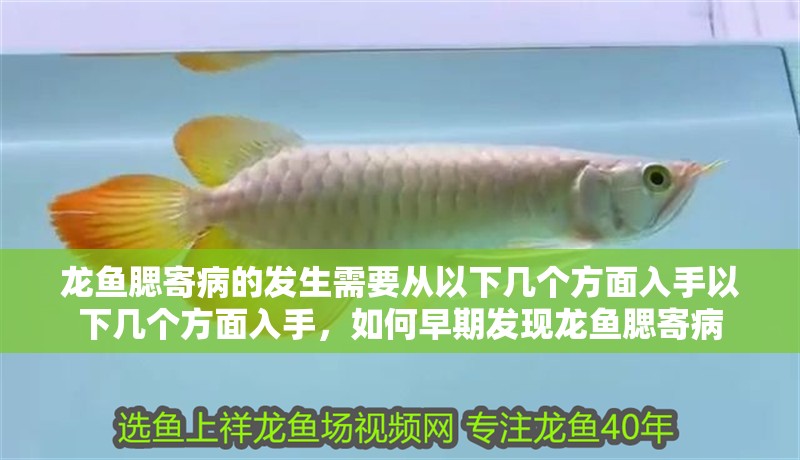 龍魚腮寄病的發(fā)生需要從以下幾個方面入手以下幾個方面入手，如何早期發(fā)現(xiàn)龍魚腮寄病