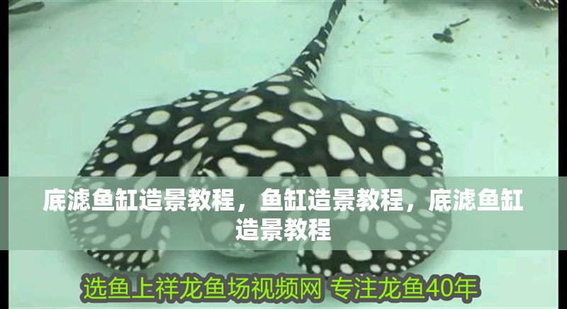 底濾魚缸造景教程，魚缸造景教程，底濾魚缸造景教程