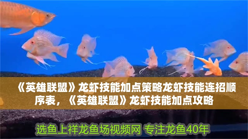 《英雄聯盟》龍蝦技能加點策略龍蝦技能連招順序表，《英雄聯盟》龍蝦技能加點攻略