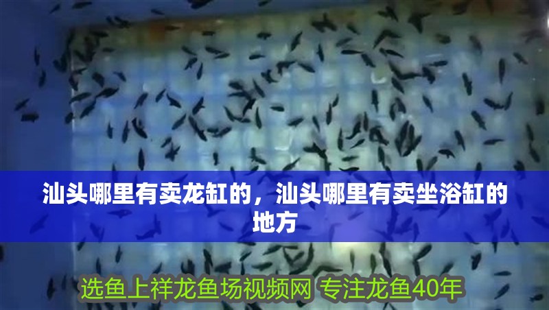 汕頭哪里有賣龍缸的，汕頭哪里有賣坐浴缸的地方