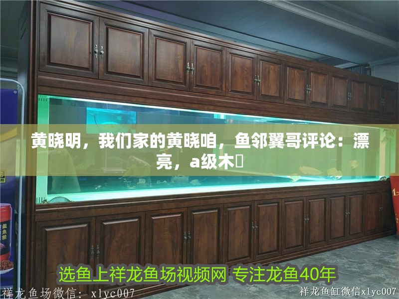 黃曉明，我們家的黃曉咱，魚鄰翼哥評論：漂亮，a級木標(biāo)