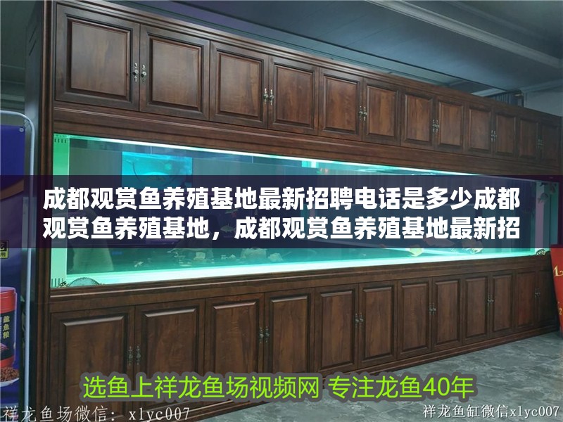 成都觀賞魚養殖基地最新招聘電話是多少成都觀賞魚養殖基地，成都觀賞魚養殖基地最新招聘電話