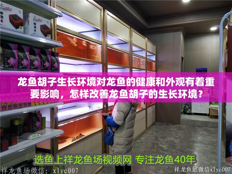 龍魚胡子生長環境對龍魚的健康和外觀有著重要影響，怎樣改善龍魚胡子的生長環境？