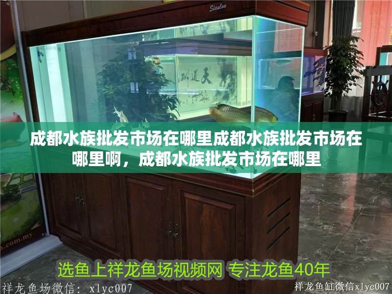 成都水族批發市場在哪里成都水族批發市場在哪里啊，成都水族批發市場在哪里