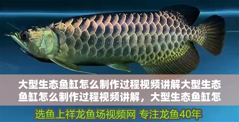 大型生態魚缸怎么制作過程視頻講解大型生態魚缸怎么制作過程視頻講解，大型生態魚缸怎么制作