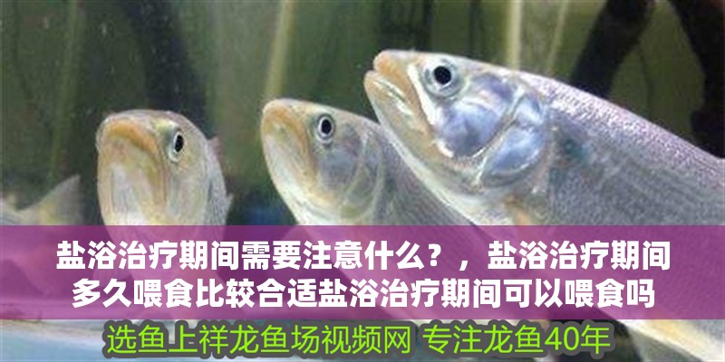 鹽浴治療期間需要注意什么？，鹽浴治療期間多久喂食比較合適鹽浴治療期間可以喂食嗎