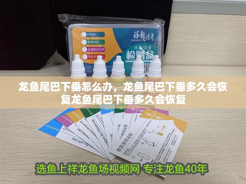 龍魚尾巴下垂怎么辦，龍魚尾巴下垂多久會恢復龍魚尾巴下垂多久會恢復