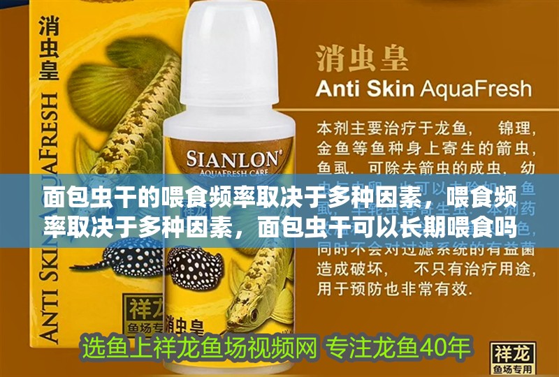 面包蟲干的喂食頻率取決于多種因素，喂食頻率取決于多種因素，面包蟲干可以長期喂食嗎