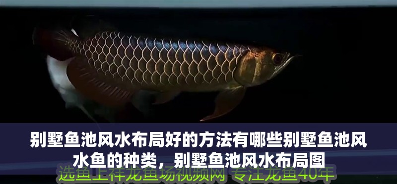別墅魚池風水布局好的方法有哪些別墅魚池風水魚的種類，別墅魚池風水布局圖