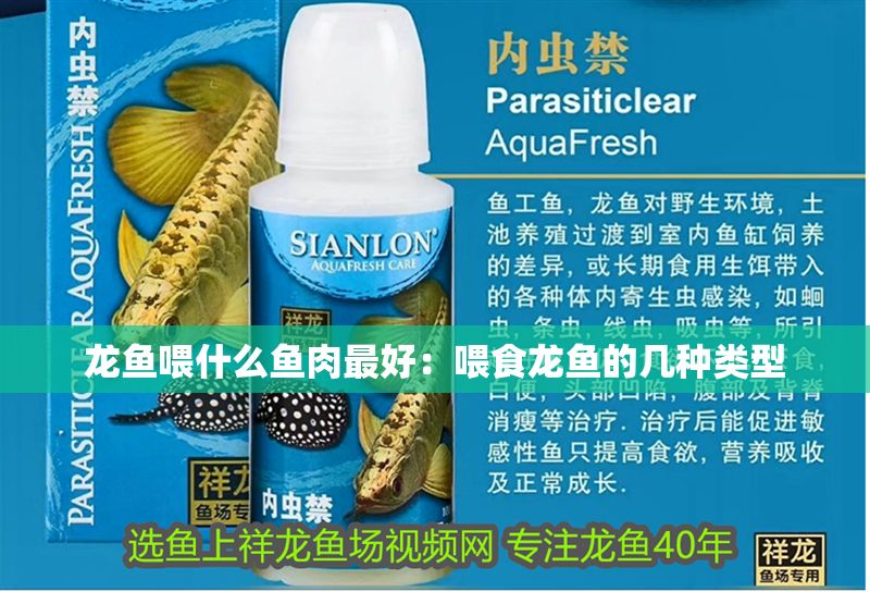 龍魚喂什么魚肉最好：喂食龍魚的幾種類型