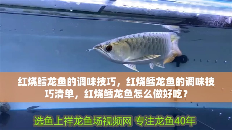 紅燒鱈龍魚的調味技巧，紅燒鱈龍魚的調味技巧清單，紅燒鱈龍魚怎么做好吃？