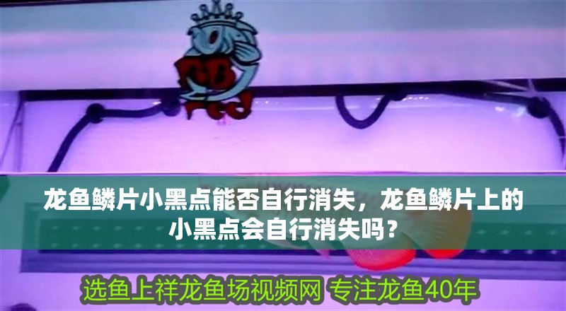 龍魚鱗片小黑點能否自行消失，龍魚鱗片上的小黑點會自行消失嗎？