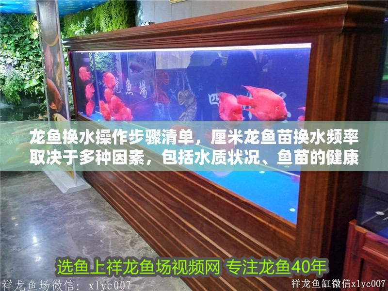 龍魚換水操作步驟清單，厘米龍魚苗換水頻率取決于多種因素，包括水質狀況、魚苗的健康狀態(tài)以及養(yǎng)殖環(huán)境