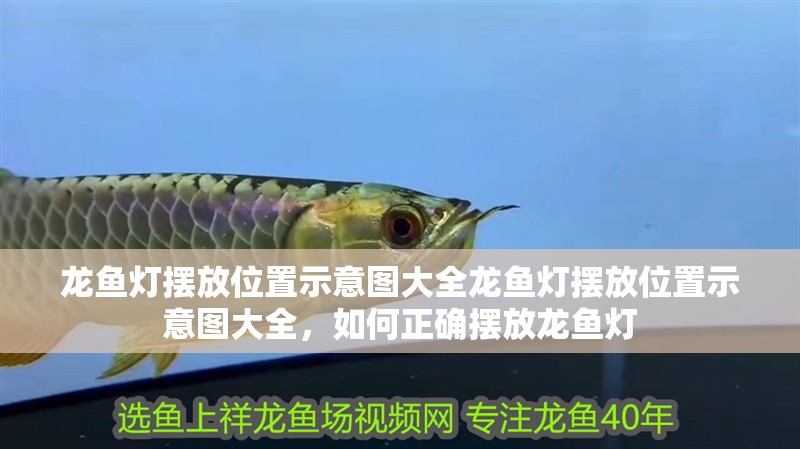龍魚燈擺放位置示意圖大全龍魚燈擺放位置示意圖大全，如何正確擺放龍魚燈