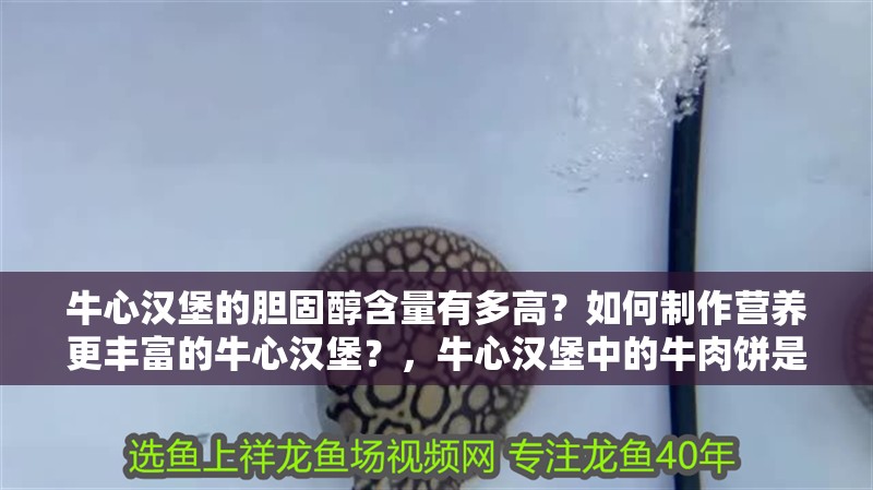 牛心漢堡的膽固醇含量有多高？如何制作營養(yǎng)更豐富的牛心漢堡？，牛心漢堡中的牛肉餅是蛋白質(zhì)的重要來源，營養(yǎng)價(jià)值卻常常被忽視