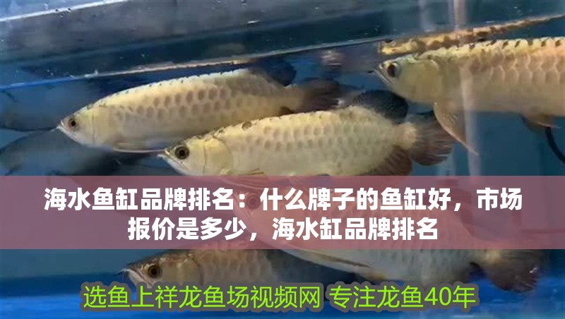海水魚缸品牌排名：什么牌子的魚缸好，市場報價是多少，海水缸品牌排名