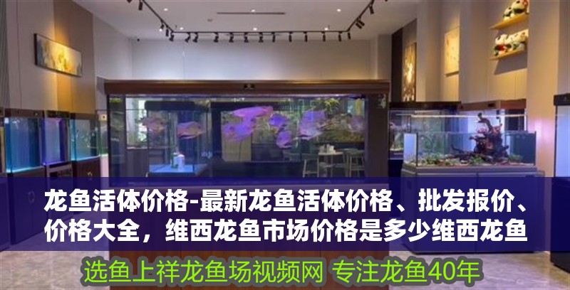龍魚活體價格-最新龍魚活體價格、批發報價、價格大全，維西龍魚市場價格是多少維西龍魚怎樣養大一點