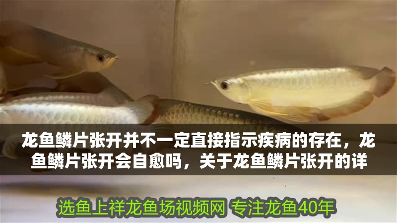 龍魚(yú)鱗片張開(kāi)并不一定直接指示疾病的存在，龍魚(yú)鱗片張開(kāi)會(huì)自愈嗎，關(guān)于龍魚(yú)鱗片張開(kāi)的詳細(xì)分析