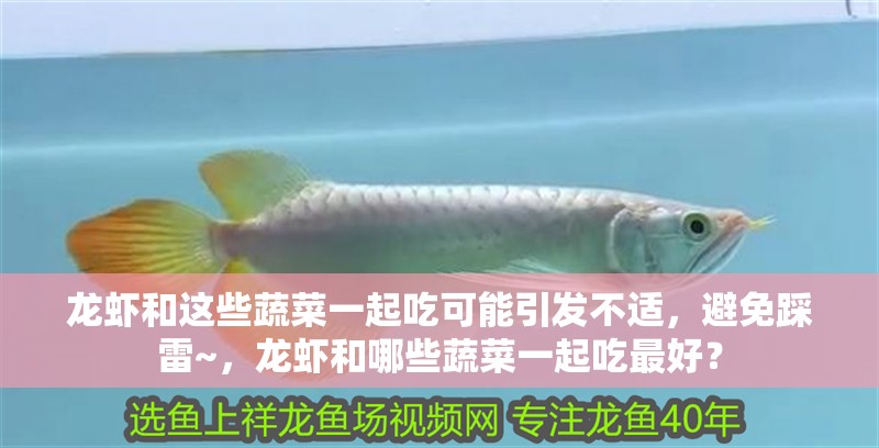 龍蝦和這些蔬菜一起吃可能引發不適，避免踩雷~，龍蝦和哪些蔬菜一起吃最好？