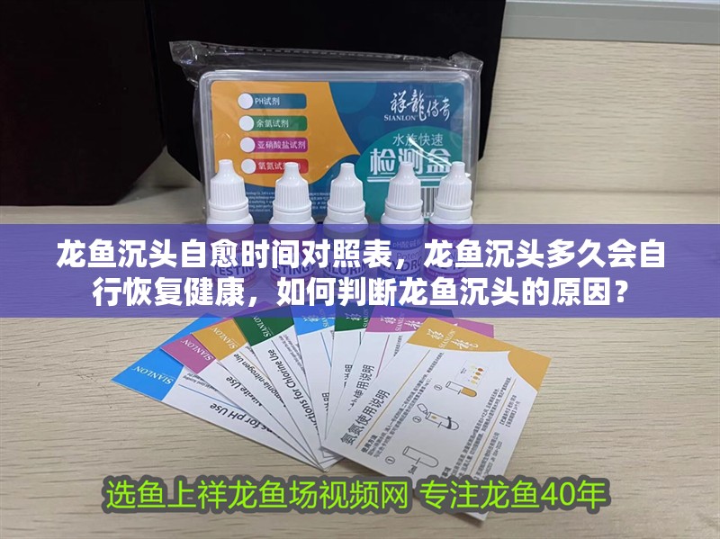 龍魚沉頭自愈時間對照表，龍魚沉頭多久會自行恢復健康，如何判斷龍魚沉頭的原因？