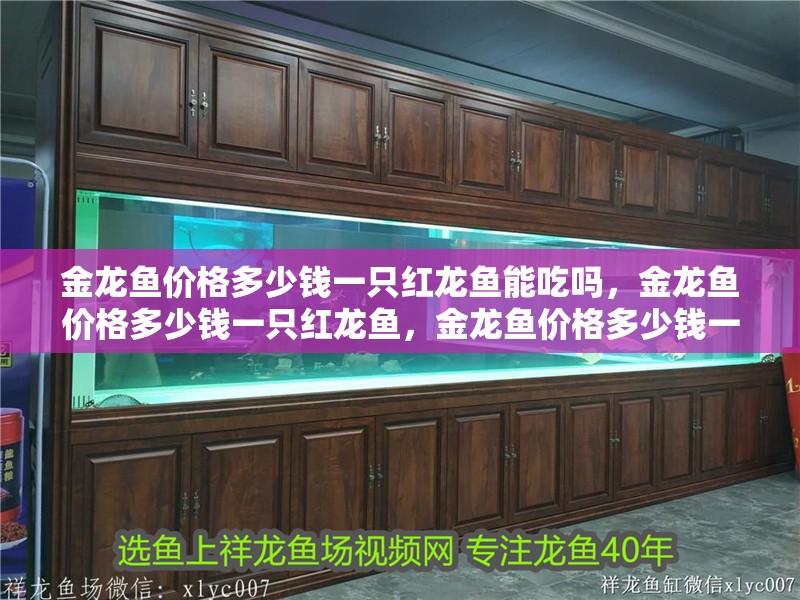 金龍魚價格多少錢一只紅龍魚能吃嗎，金龍魚價格多少錢一只紅龍魚，金龍魚價格多少錢一只