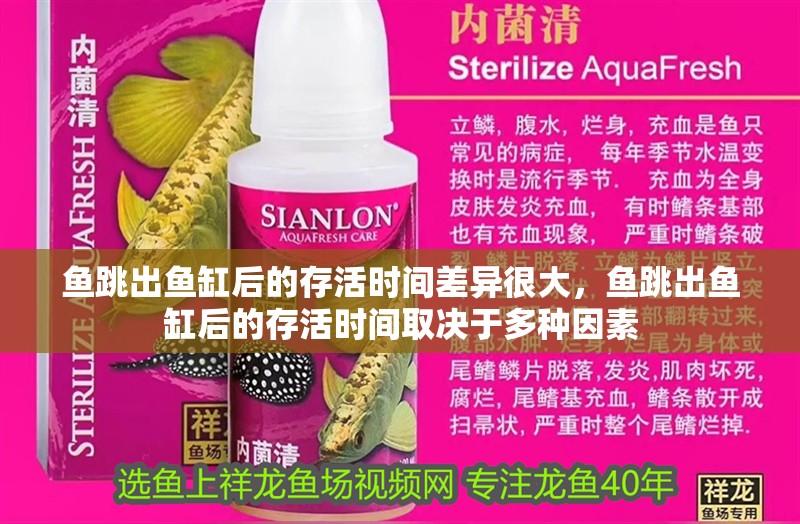 魚跳出魚缸后的存活時間差異很大，魚跳出魚缸后的存活時間取決于多種因素 魚跳出魚缸后的存活時間差異很大，魚跳出魚缸后的存活時間取決于多種因素 龍魚百科 第3張