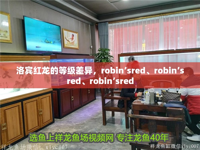 洛賓紅龍的等級差異，robin’sred、robin’sred、robin’sred