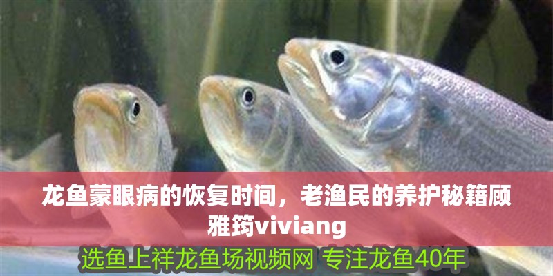 龍魚蒙眼病的恢復時間，老漁民的養護秘籍顧雅筠viviang