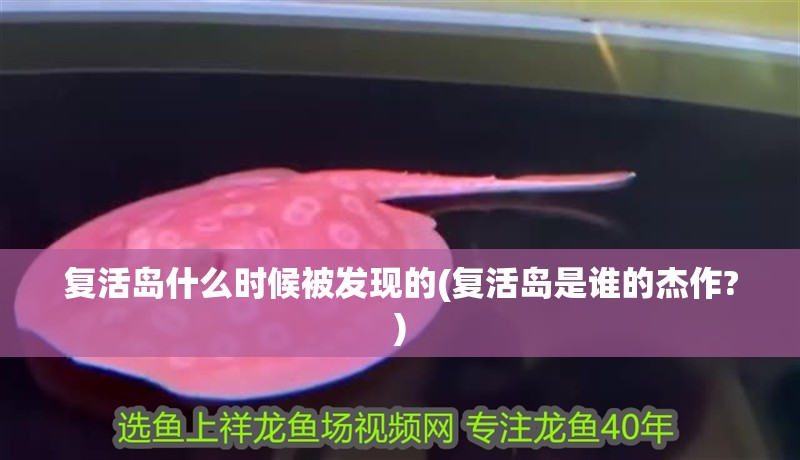 復(fù)活島什么時候被發(fā)現(xiàn)的(復(fù)活島是誰的杰作?) 復(fù)活島什么時候被發(fā)現(xiàn)的(復(fù)活島是誰的杰作?) 觀賞魚百科