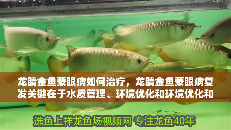 龍睛金魚蒙眼病如何治療，龍睛金魚蒙眼病復發關鍵在于水質管理、環境優化和環境優化和營養強化