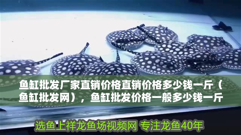 魚缸批發廠家直銷價格直銷價格多少錢一斤（魚缸批發網），魚缸批發價格一般多少錢一斤