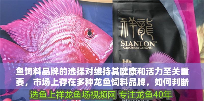 魚飼料品牌的選擇對維持其健康和活力至關重要，市場上存在多種龍魚飼料品牌，如何判斷龍魚飼料的質量好壞？