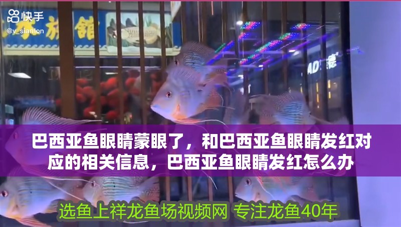 巴西亞魚眼睛蒙眼了，和巴西亞魚眼睛發紅對應的相關信息，巴西亞魚眼睛發紅怎么辦