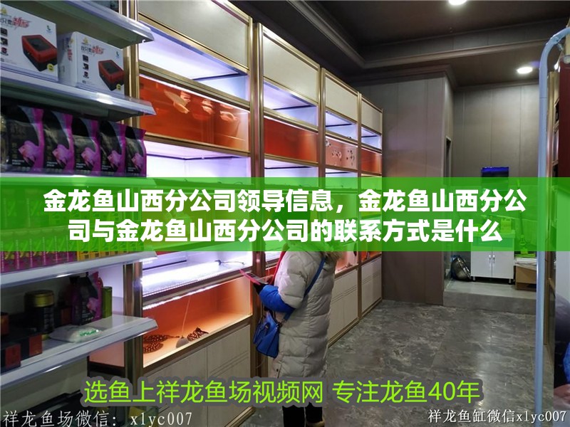 金龍魚山西分公司領導信息，金龍魚山西分公司與金龍魚山西分公司的聯系方式是什么