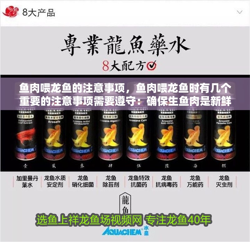 魚肉喂龍魚的注意事項，魚肉喂龍魚時有幾個重要的注意事項需要遵守：確保生魚肉是新鮮的
