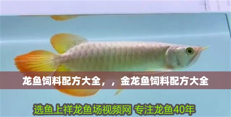 龍魚飼料配方大全，，金龍魚飼料配方大全