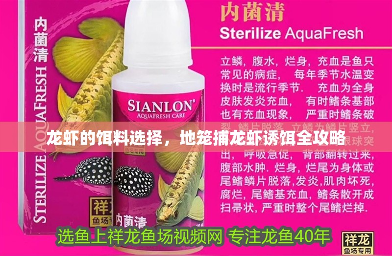 我的虎魚真菌感染了要怎么處理 龍蝦的餌料選擇,地籠捕龍蝦誘餌全攻略 龍魚百科 龍蝦的餌料選擇,地籠捕龍蝦誘餌全攻略 龍蝦的餌料選擇,地籠捕龍蝦誘餌全攻略 龍魚百科